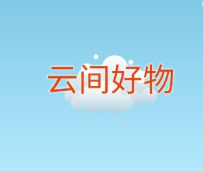 13052755586